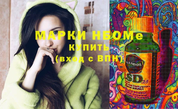 ГАЛЛЮЦИНОГЕННЫЕ ГРИБЫ Балахна