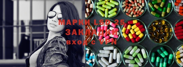 ГАЛЛЮЦИНОГЕННЫЕ ГРИБЫ Балахна