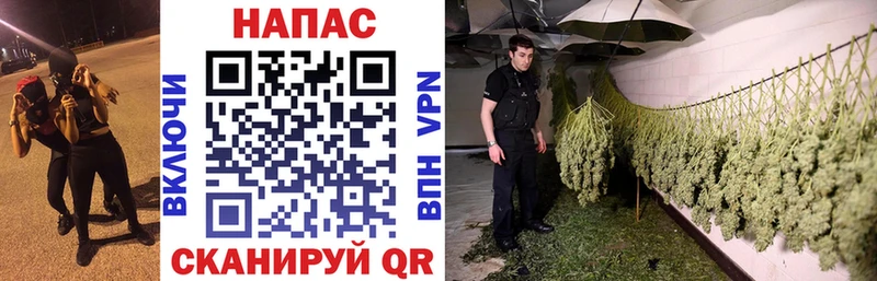 Бошки марихуана тримм  даркнет формула  Коммунар 